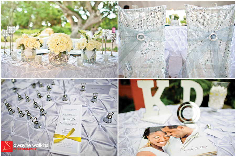 Kenisha & Devin Blog35