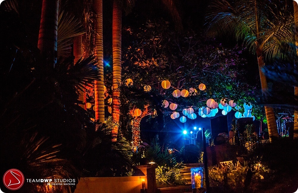 dwp-dm_0053